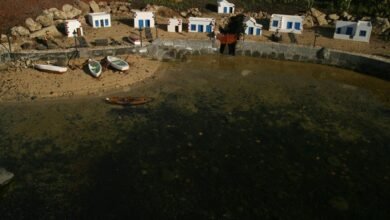 scaling intelligent growth model